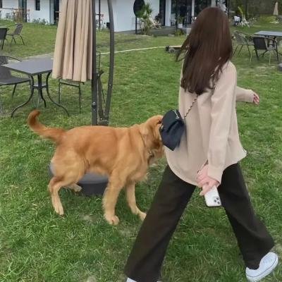 第三类打斗